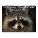 Suche nach raccoon kalender Wildtiere