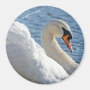 Suche nach mute magnete Weiß