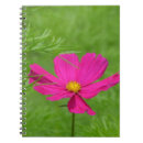 Suche nach rosa kosmos kleine notizbücher Blühen