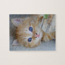 Suche nach pussycat puzzle Katzen