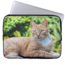 Suche nach ohr laptop schutzhüllen Katze