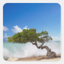 Suche nach aruba aufkleber Insel