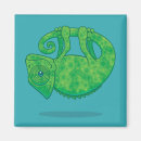 Suche nach chamäleon magnete Grün