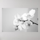 Suche nach orchid poster Floral