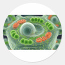 Suche nach mikroorganismus aufkleber Biologie