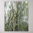 Suche nach weinrebe poster Natur