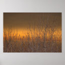 Suche nach erie poster Ohio