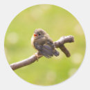 Suche nach sommertag aufkleber Für alle