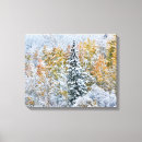 Suche nach aspen leinwandbilder Darrell gulin