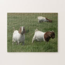 Suche nach ziegen puzzle Tiere