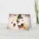 Suche nach peking karten Jede person