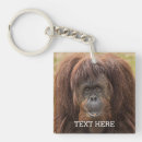 Suche nach malaysia accessoires Affe