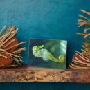 Suche nach schwanz fotoplatten Tierwelt
