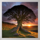 Suche nach einsamer baum poster Sonnenaufgang