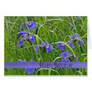 Suche nach wilde iris postkarten Wildblume