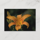 Suche nach delux visitenkarten Blume