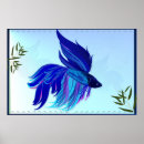 Suche nach blaue fische poster Betta