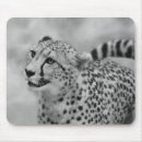Suche nach gepunktete katze mousepads Natur