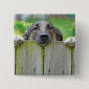 Suche nach zaun buttons Hund