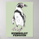 Suche nach humboldt poster Pinguin