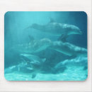 Suche nach delphine mousepads Jede person