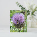 Suche nach flower vertikale postkarten Blume