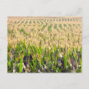 Suche nach endlos postkarten Landwirtschaft