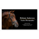 Suche nach ställe visitenkarten Stallungen