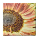 Suche nach sunflower fliesen Gelb