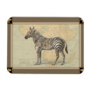 Suche nach zebra magnete Safari