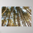 Suche nach friedlich poster Ruhig