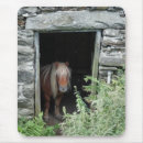 Suche nach ponys mousepads Für alle