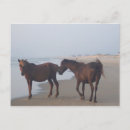 Suche nach ozean scape Strand