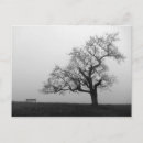 Suche nach bank unter baum postkarten Natur
