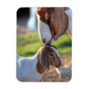 Suche nach tierkopf magnete Im freien