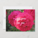 Suche nach schöne rosa rosen postkarten Elegant