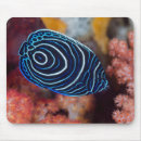 Suche nach ozeanleben mousepads Koralle