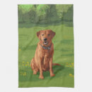 Suche nach yellow geschirr tücher Labrador retriever