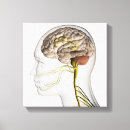 Suche nach transparent leinwandbilder 3d