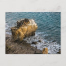 Suche nach matador California