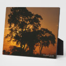 Suche nach safari fotoplatten Natur