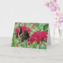 Suche nach butterfliege karten Blume