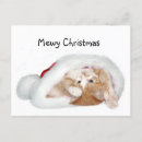 Suche nach weihnachtskätzchen postkarten Katzenliebhaber