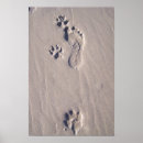 Suche nach feet poster Glücklich