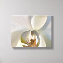 Suche nach orchids leinwandbilder Elegant