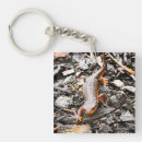 Suche nach salamander schlüsselanhänger Amphibien