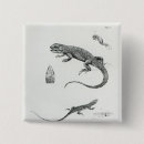 Suche nach leguan buttons Eidechse