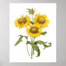 Suche nach vintage flower poster Botanical