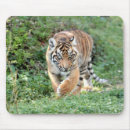 Suche nach tigerkatze mousepads Niedlich