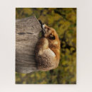 Suche nach fox puzzle Puschensah